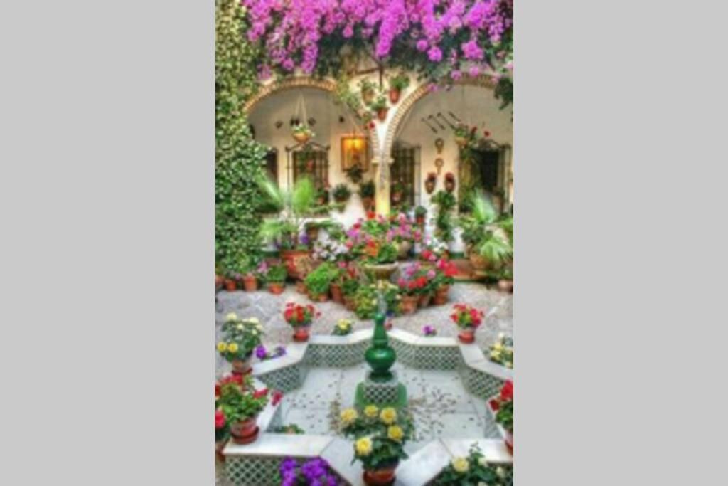Apartmán Corredera House. Pleno Centro De Córdoba Exteriér fotografie